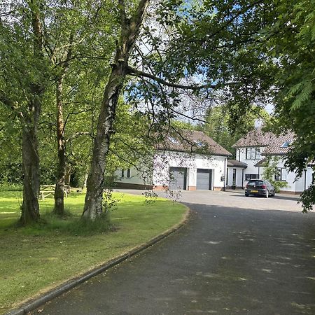 Treetops Coleraine Zewnętrze zdjęcie