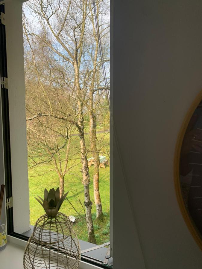 Treetops Coleraine Zewnętrze zdjęcie